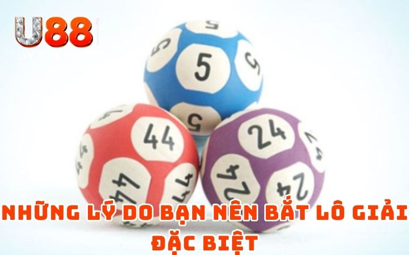 Cách Bắt Lô Theo Giải Đặc Biệt Dễ Hiểu Với Chuyên Gia U88 4 Những lý do bạn nên bắt lô giải đặc biệt