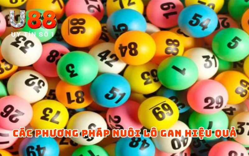 Phương Pháp Nuôi Lô Gan | Top 3+ Hình Thức Soi Cầu Hiệu Quả 3 Các phương pháp nuôi lô gan hiệu quả