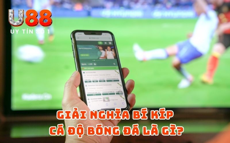 Bí Kíp Cá Độ Bóng Đá Chắc Ăn Năm 2025 - Trúng Lớn 100% 2 Giải nghĩa bí kíp cá độ bóng đá là gì?
