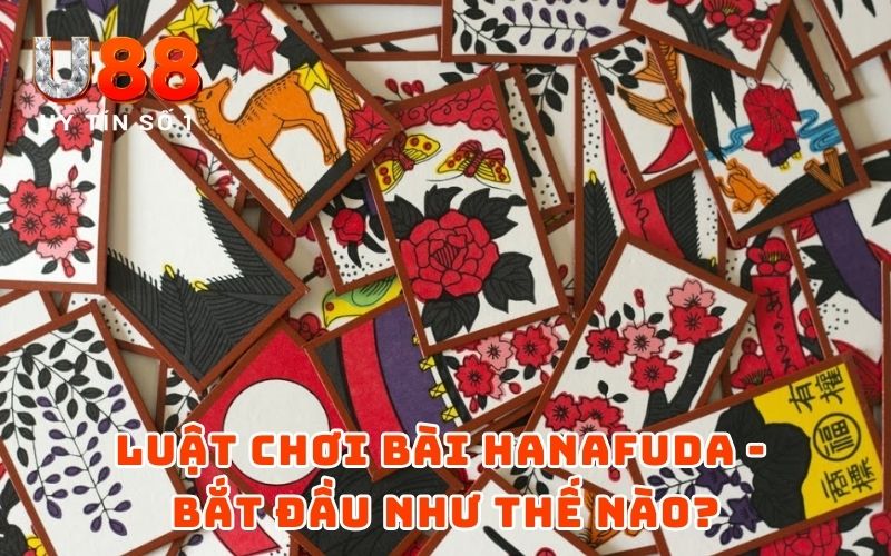 Luật Chơi Bài Hoa Hanafuda - Bí Quyết Làm Chủ Bộ Bài 4 Luật chơi bài Hanafuda - Bắt đầu như thế nào?