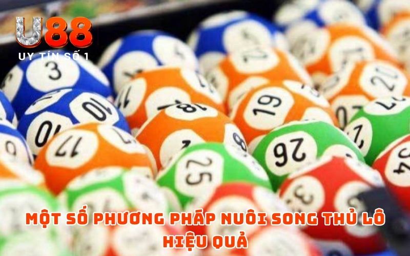 Song Thủ Lô Nuôi Khung 2 Ngày - Mẹo Chơi Dễ Đánh, Dễ Trúng 3 Một số phương pháp nuôi song thủ lô hiệu quả