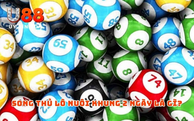 Song Thủ Lô Nuôi Khung 2 Ngày - Mẹo Chơi Dễ Đánh, Dễ Trúng 2 Song thủ lô nuôi khung 2 ngày là gì?