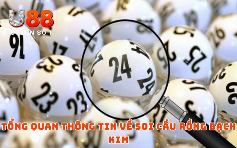 Soi Cầu Rồng Bạch Kim - Xu Hướng Cá Cược Mới Trong 2025 2 Tổng quan thông tin về soi cầu rồng bạch kim