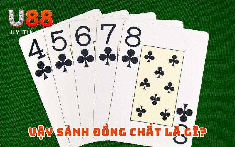 Thùng Phá Sảnh Là Gì? Toàn Diện Về Tay Bài Mạnh Nhất Poker 3 Vậy sảnh đồng chất là gì?